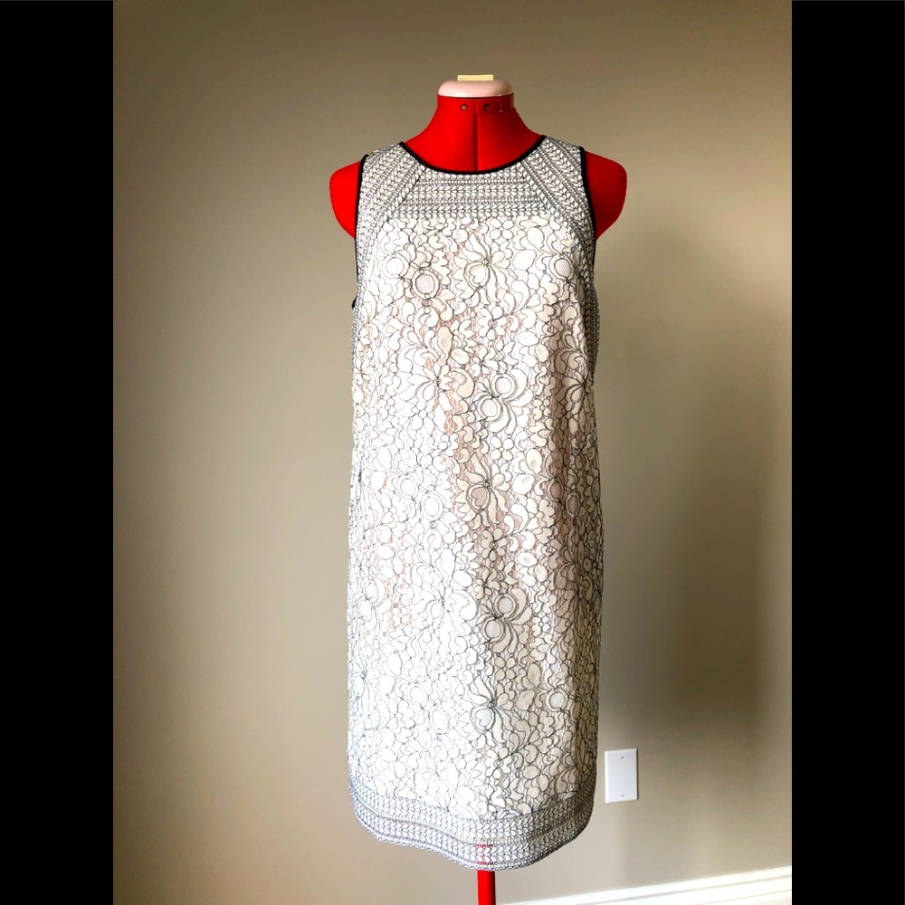 Loft Lace Overlay Shift Dress 4 Black Ivory white